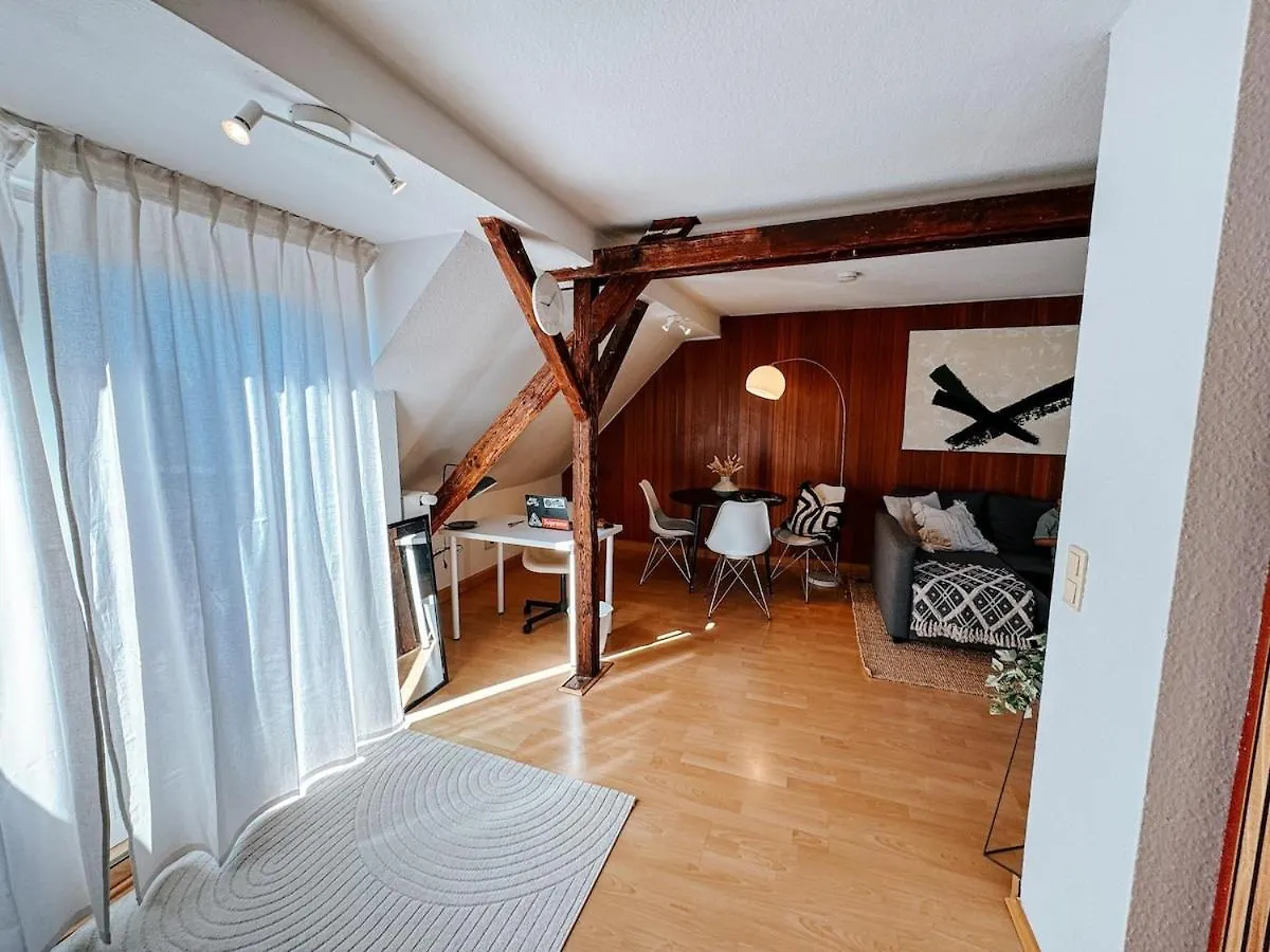 Apartment Zentral Gelegenes Rooftop-Apartment In Duesseldorf